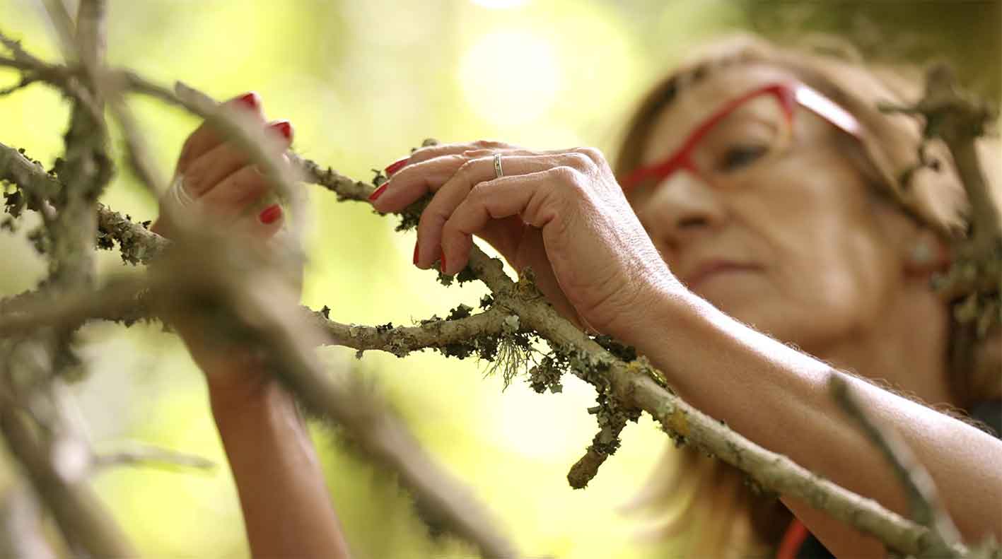 Frame 1 Generali GAEC